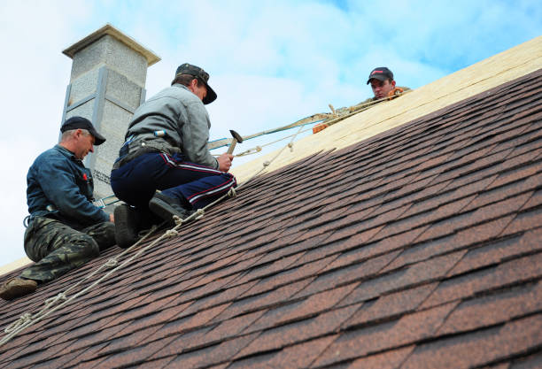 Best Roof Gutter Cleaning  in Coweta, OK